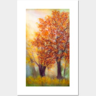 Autumn light Posters and Art